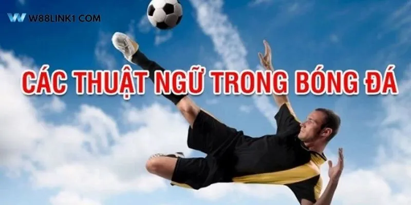 Tầm quan trọng của việc hiểu thuật ngữ cá độ thể thao W88